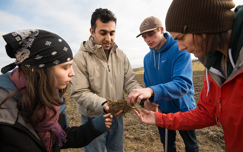 Students examine soil