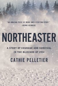 Image of Northeaster book cover