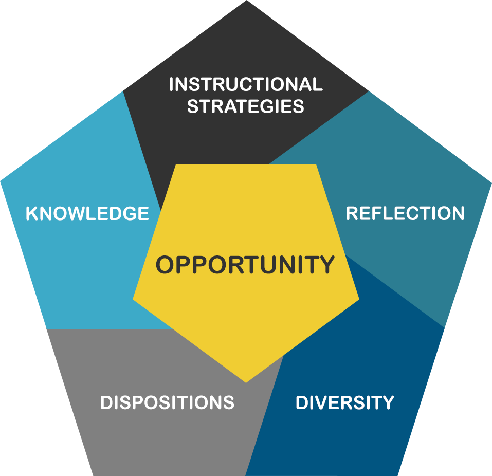 Conceptual Framework Diagram Logo