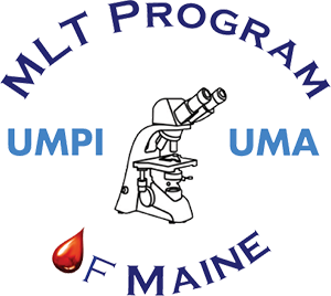 MLT Program of Maine