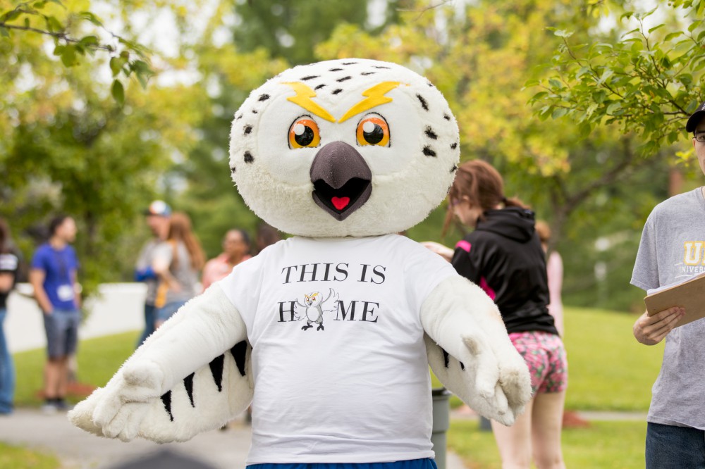 Proud Owls