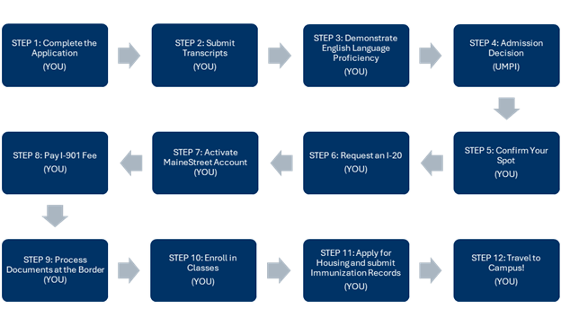 Canadian Students Infographic of below steps.