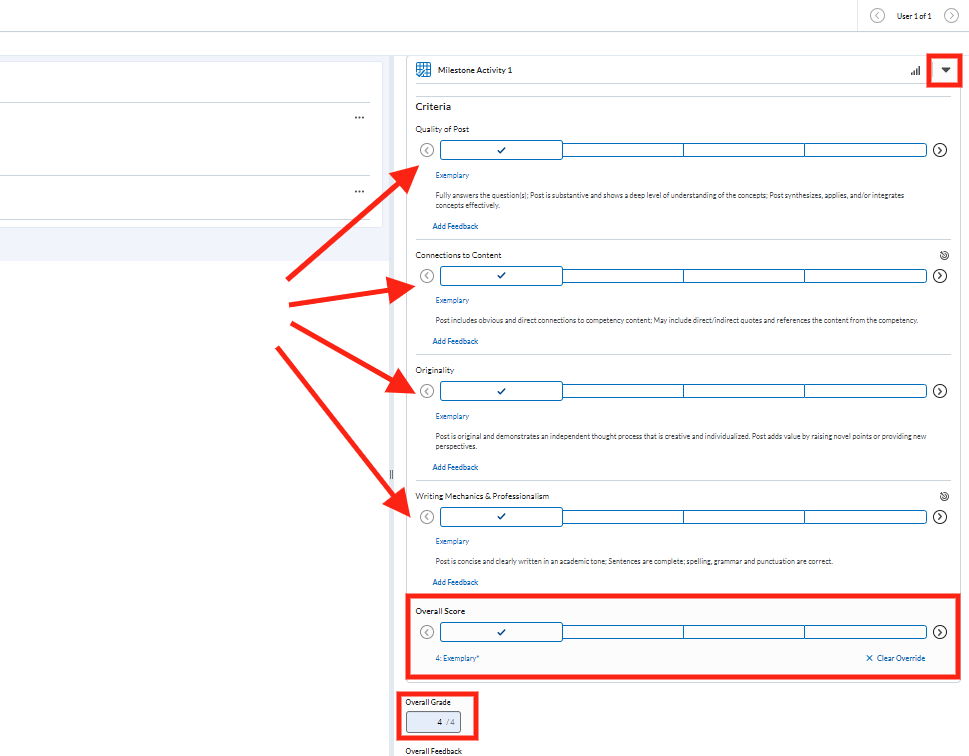 Screenshot of Brightspace course showing the assignment grading interface with the rubric tool highlighted.
