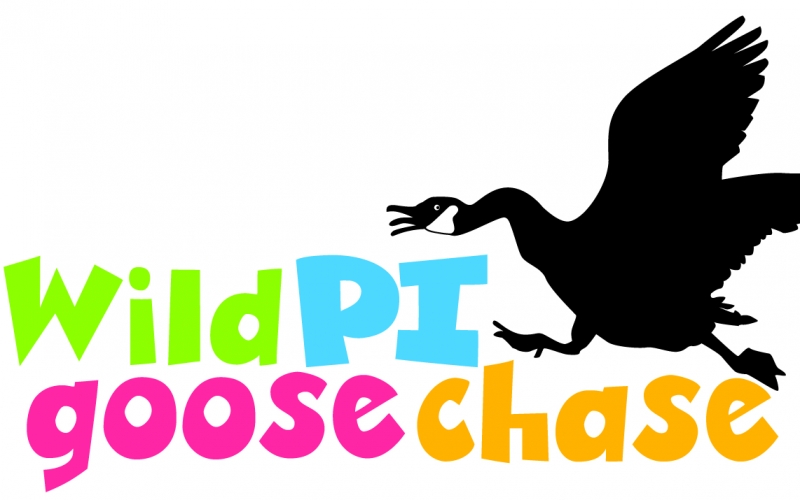 Wild PI Goose Chase