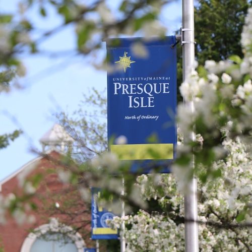 Photo of UMPI banner with Campus Center in the background.