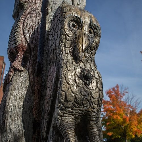 Photo of Owls wooden sculpture with fall leaves in the background.