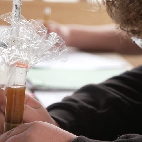Video still from "Learning from Maine" episode--a student measures maple syrup in a beaker.