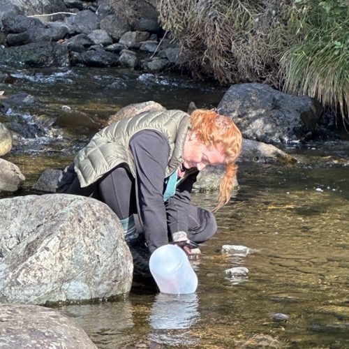 Photo of Anna Vinton conducting research in a streambed.
