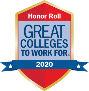Great Colleges honor roll logo