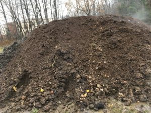 Hot Compost Pile
